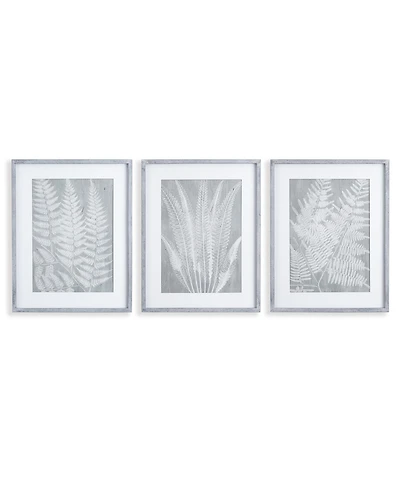 Fern Frond Prints, Set Of 3