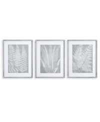 Fern Frond Prints, Set Of 3