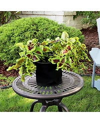 Garden Grow Bag with Handles Nonwoven Polypropylene Fabric, Black