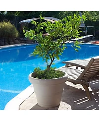 Slickblue Round Outdoor Patio Planter for Garden Plants or Small Tree