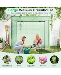 Outdoor Portable Walk-in Greenhouse with Pe Cover Heavy-Duty Metal Frame Roll-up Zipper Door
