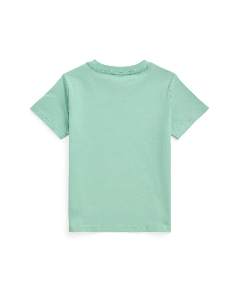 Polo Ralph Lauren Toddler and Little Boys Interlock Quarter-Zip Pullover
