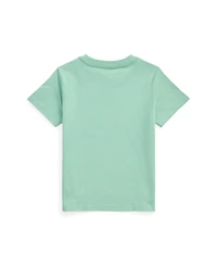 Polo Ralph Lauren Toddler and Little Boys Interlock Quarter-Zip Pullover