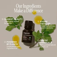 Organic Patchouli Essential Oil