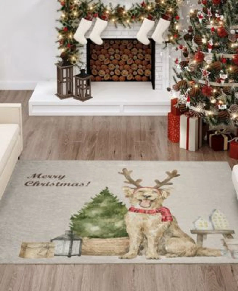 Dalyn Wonderland Wn8 18x26 Area Rug