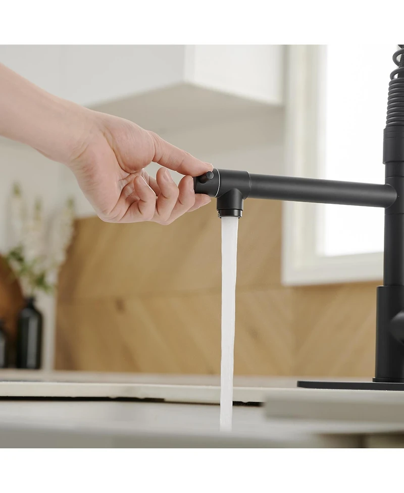 Single-Handle Pull-Down Sprayer 2 Spray High Arc Kitchen Faucet