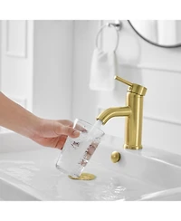 Single Hole Single-Handle Bathroom Faucet