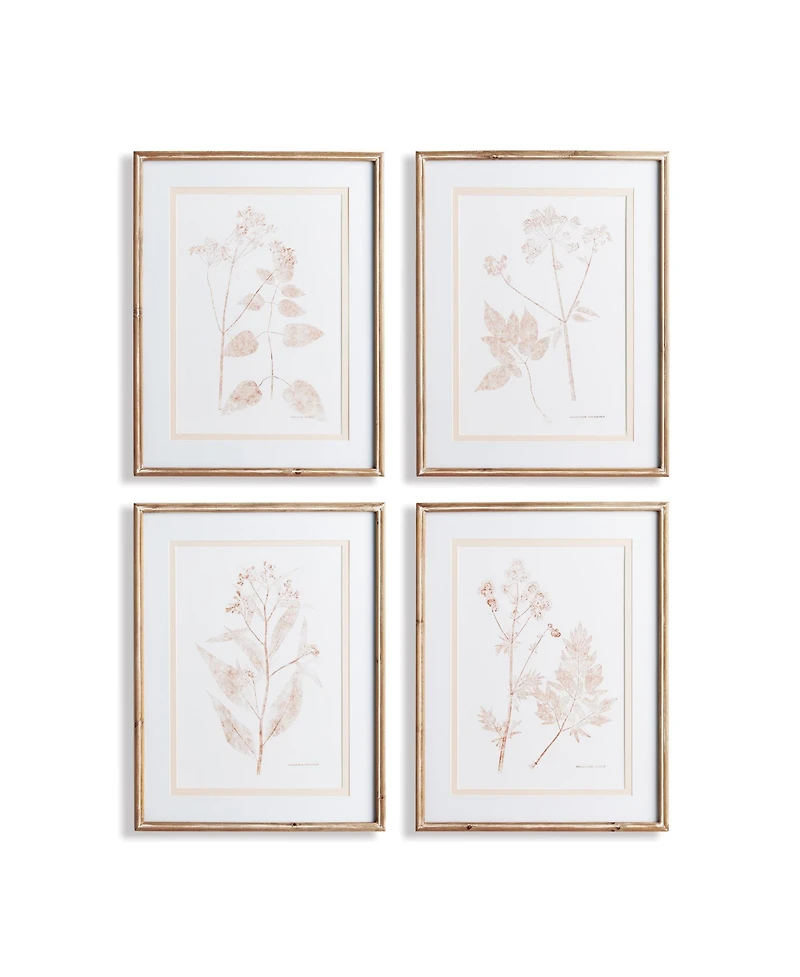 Blush Botanical Study Set of 4