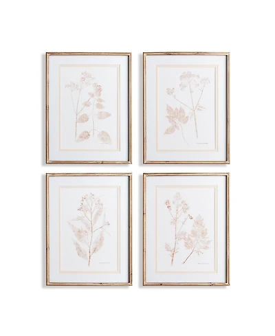 Blush Botanical Study Set of 4