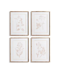 Blush Botanical Study Set of 4