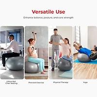 Sunny Health & Fitness Premium Yoga Ball Small 55CM Anti-Burst Exercise Ball for Workouts, Pregnancy, Physical Therapy, Stability Ball Chair Fitness,