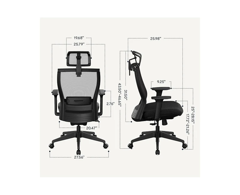 FlexiSpot C4B Ergonomic Mesh High-Back Office Chair, Black
