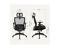 FlexiSpot C4B Ergonomic Mesh High-Back Office Chair, Black