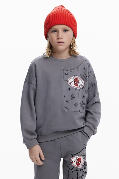 Desigual Boys Boys's Spiderman patch sweatshirt