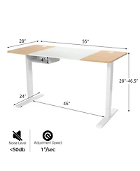 Electric Adjustable Sit-to-Stand Desk with Usb Port Ergonomic and Convenient Desk for Home Office