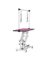 42.5INCH Hydraulic Pet Grooming Table With "H" Arm