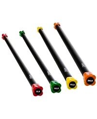Bintiva Body Bar - Weighted Workout Bar Set