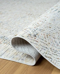 Lr Home Alexis All-465 2'x3' Area Rug
