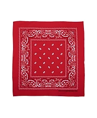 Bioworld Lightweight Multicolored 22"x22" 48-Pack Bandana Set