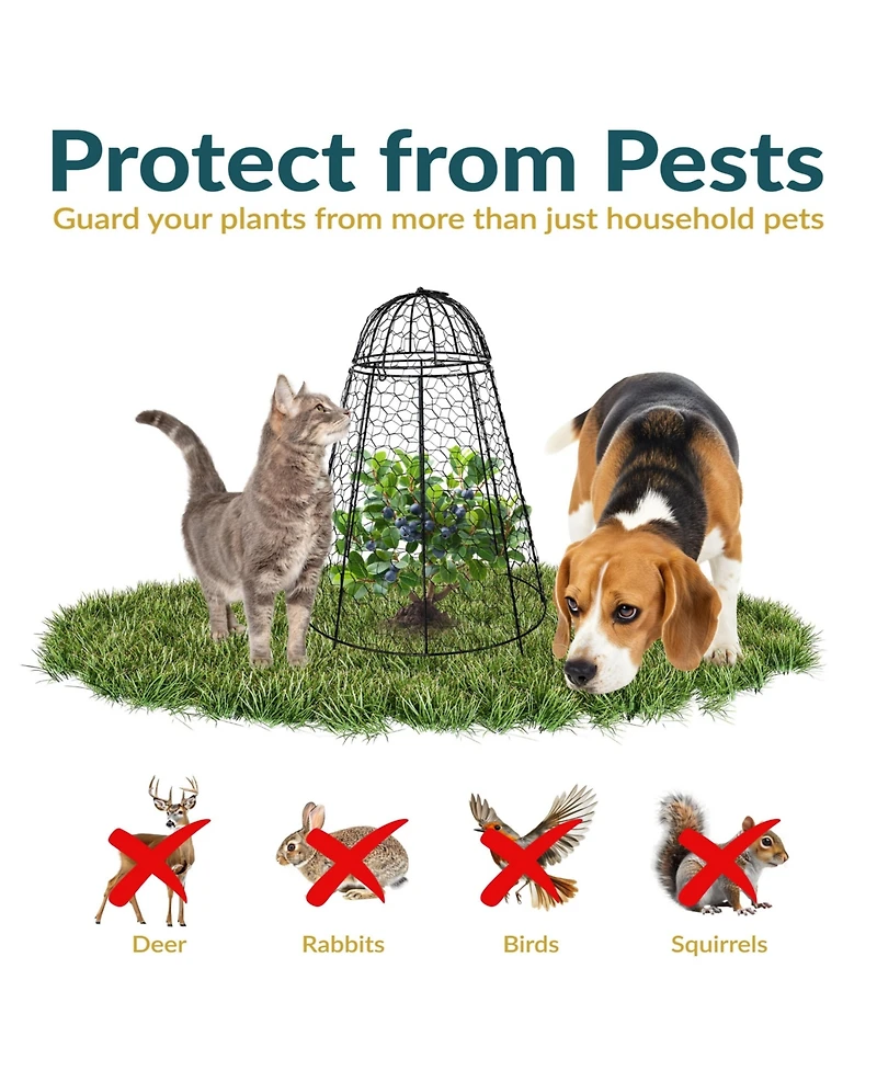 Chicken Wire Cloche Plant Protector with Removable Cover - 6-Pack