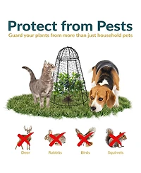 Chicken Wire Cloche Plant Protector with Removable Cover - 6-Pack