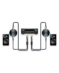 Svs SoundPath Ultra Bi-Wire Speaker Cable with Spade Connectors (10 feet)