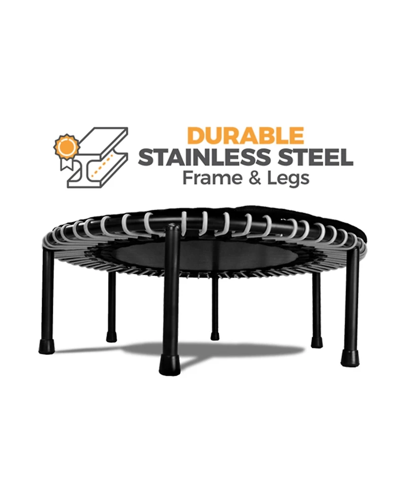 Leaps and Rebounds Fitness Trampoline, 40-inch or 48-inch |Adults and Kids Rebounder for Indoor and Outdoor, Up to 270 lbs | Lifetime Warranty | Low I