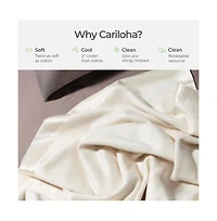 Cariloha Fleece Blanket | Coconut Milk | Queen | Viscose Material | Satin Binding Border | Sized for Top of Bed | Ideal for Year Round Use
