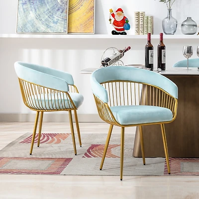 Dyhome Mid Century Dining Chair