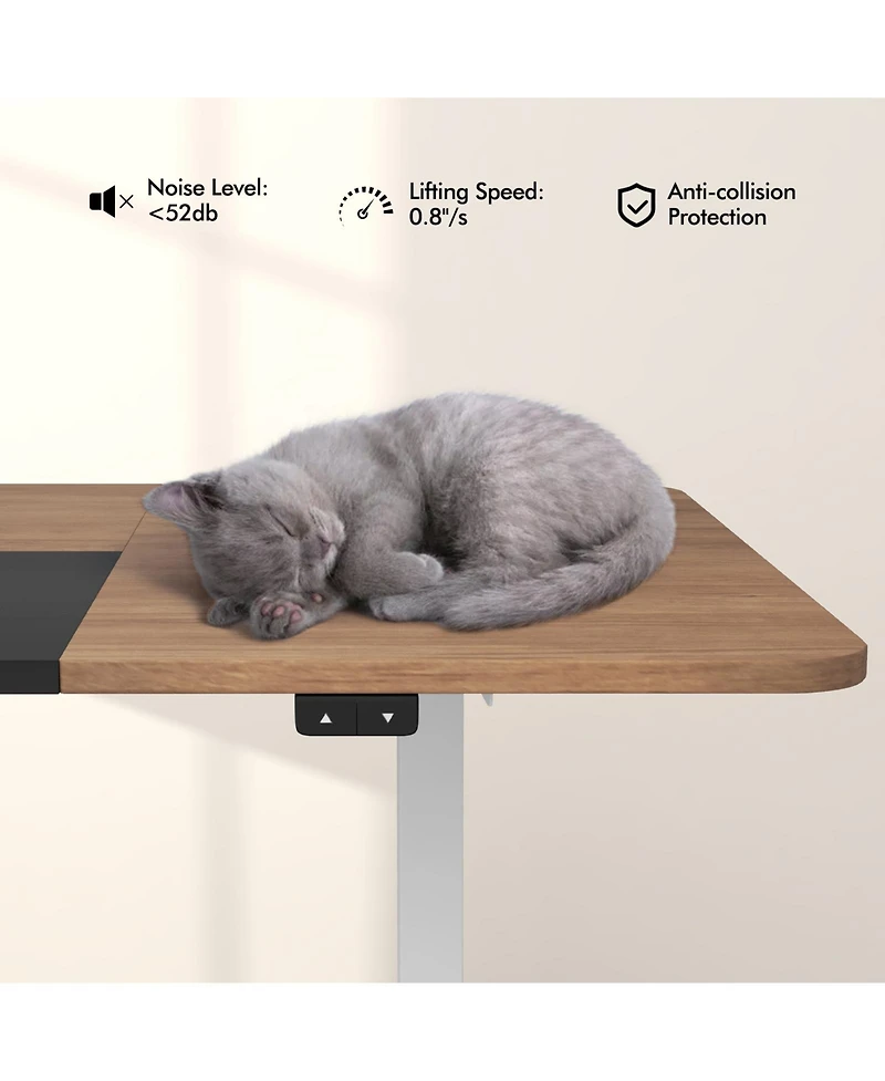 55 Inch Electric Standing Desk Adjustable with Cable Management Hole