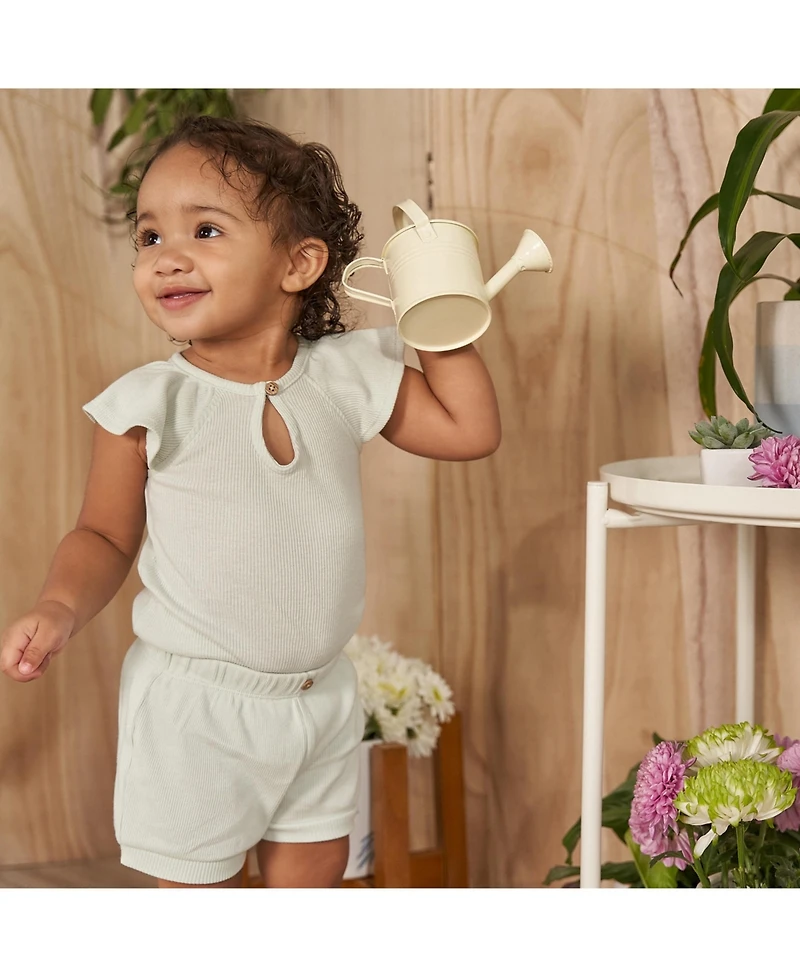 Gerber Childrenswear Baby Girls Flutter Sleeve Bodysuit and Shorts Set