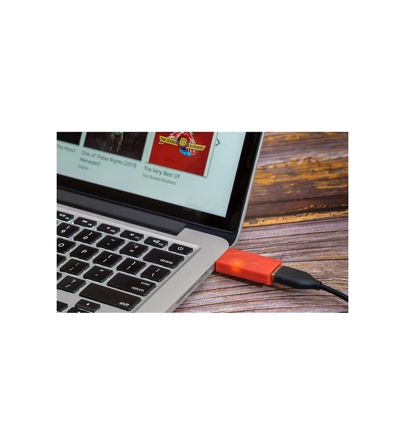 iFi SilentPower iDefender+ Digital Enhancer Ground Loop Eliminator