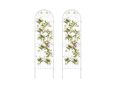 Outdoor Garden Trellis for Climbing Plants and Decorative Support