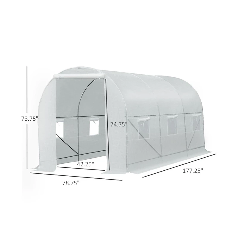 Walk-In Tunnel Greenhouse for Gardening and Plant Protection with Spacious Design