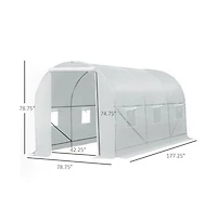 Walk-In Tunnel Greenhouse for Gardening and Plant Protection with Spacious Design