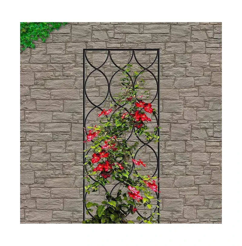 Stylish Metal Garden Trellis for Modern Outdoor Spaces