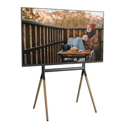 ProMounts Premium Easel Tv Stand Mount for 42"-84" TVs and Holds Up to 99 Lbs