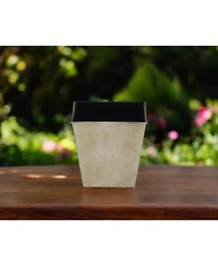 Lightweight Plastic Flower Pot for Indoor Outdoor Planting