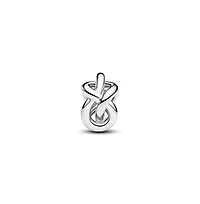 Pandora Infinity Knot Charms