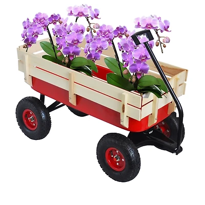 All Terrain Air Tires Outdoor Steel Garden Cart for Haulling Tools or Supplies in Your Backyard