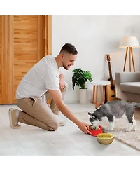 P.t. Supply Co. Red Small Strawberry Shaped Silicone Pet Bowl with Non-Slip Suction Base