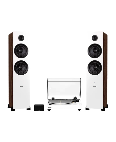 Fluance RT85N Reference High Fidelity Vinyl Turntable (Piano Black), PA10 Phono Preamp and Ai81 Powered Floorstanding Speakers (Black Ash), Nagaoka Mp