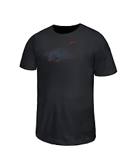Nike Big Boys and Girls Black Arkansas Razorbacks Legend Color Pop Performance T-Shirt