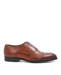 Bruno Magli Men's Adriano Lace Up Cap Toe Oxford