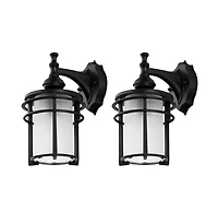 Adisyn 8" Outdoor Sconce
