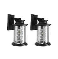 Queren 7.67" Outdoor Sconce