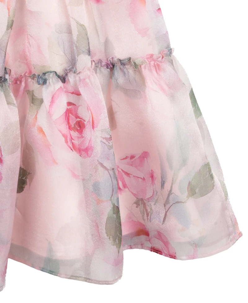 Rare Editions Big Girls Floral Organza Party Dress