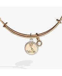 Zodiac Bangle Bracelet Pisces