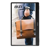 Msi Pro MP161 E2 15.6" 16:9 Full Hd Portable Ips Lcd Monitor, Metal Gray