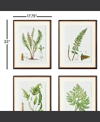 17.75" x 23" Decorative Structural Fern Botanical Study Framed Prints Set of 4